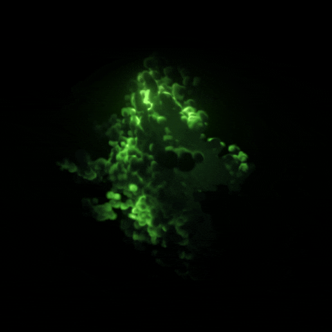 Cloud-of-green-smoke GIFs - Get the best GIF on GIPHY