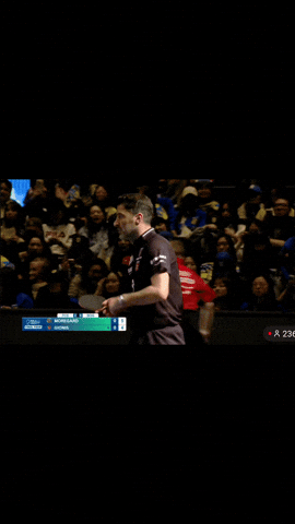 Sorry Table Tennis GIF