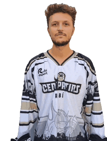 Inline Hockey Goal Sticker by CentPatins