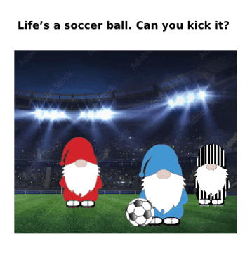 Sport Soccer GIF