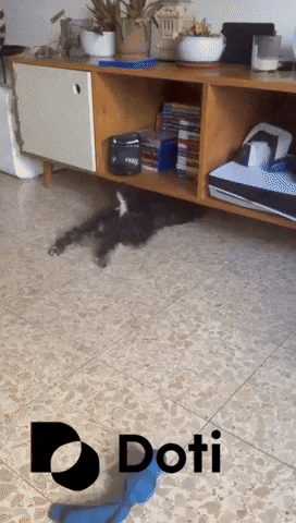 Happy Dog GIF by Doti.AI