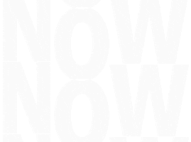 Party Sticker Sticker by Victoria147org