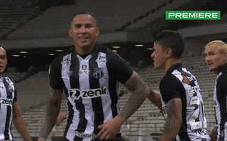 Serie A Vozao GIF by Canal Premiere