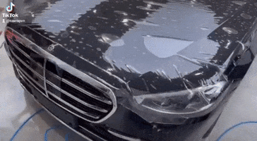 Ppf GIF