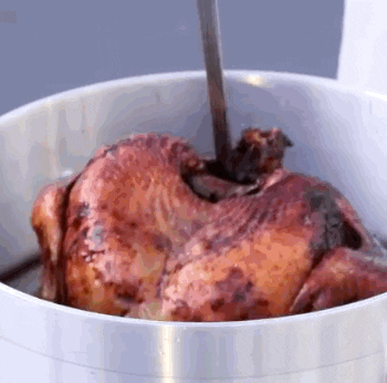 Deep Fried Thanksgiving GIF by Mic - Find & Share on GIPHY