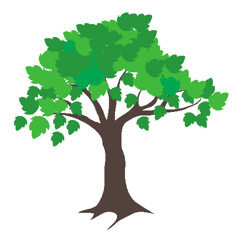 Drentse Fietsers Sticker