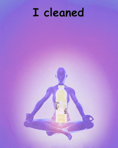 Pine-Sol GIF