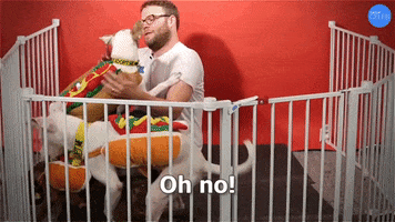 Seth Rogen Dogs GIF by BuzzFeed