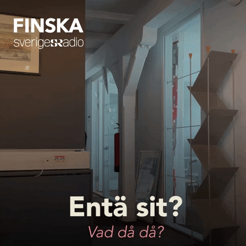 Sverigesradiofinska so what back to work sveriges radio finska vad då då GIF