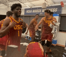 Celebrate March Madness GIF by USC Trojans