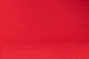 Seasons Greetings Animation GIF by linastopmotion