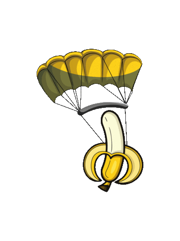 BDTI Freefly Sticker
