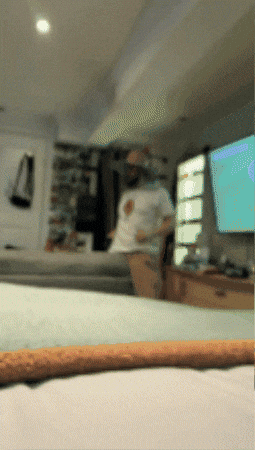 Fabregui Memes GIF by richardandmarc