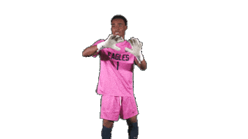 Catch Goalkeeper Sticker by Carson-Newman Athletics