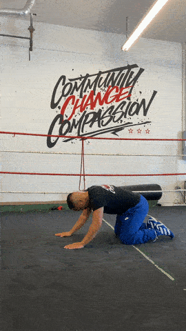 quinitboxing GIF