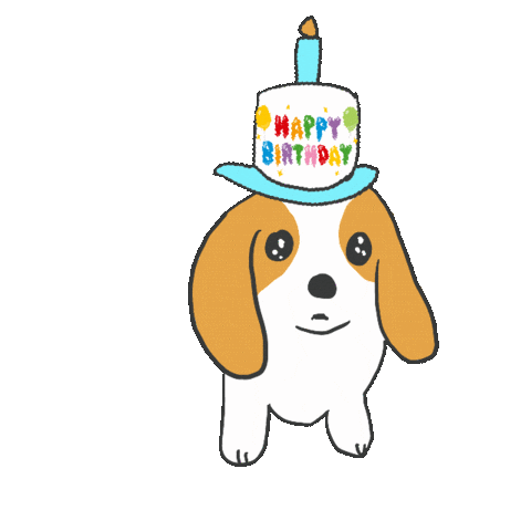 Birthday Kota Sticker