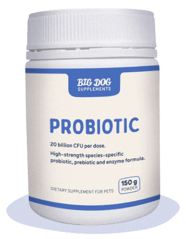 Cat Health Sticker by Big Dog Pet Foods