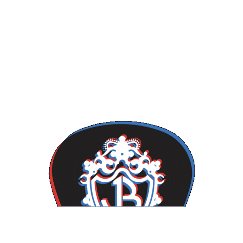 Jonas Brothers Sticker by Honda Center