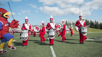 Game Day Football GIF by Saginaw Valley State University