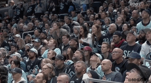 Stanley Cup Playoffs Sport GIF by NHL