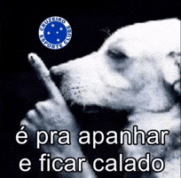 Cruzeiro Omaiordeminas GIF
