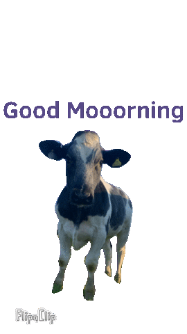 Good Morning Sticker by Libby’s Larder