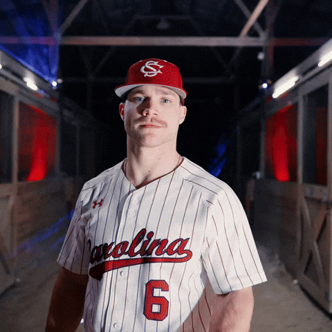 Home Run Celebration GIF by Gamecock Athletics