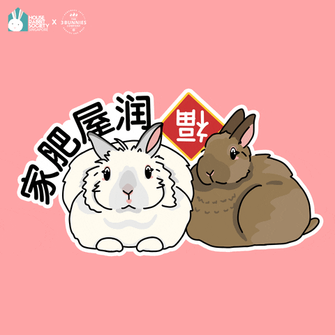 Chinese New Year Bunny GIF by the3bunnies.co