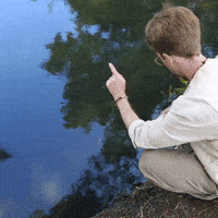 Good Morning Hello GIF by The Rainbow Bridge