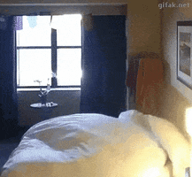 Im Up Rise And Shine GIF by MOODMAN