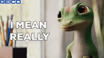 Serious Straight Face GIF by GEICO