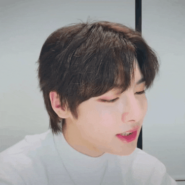 Stray Kids GIF