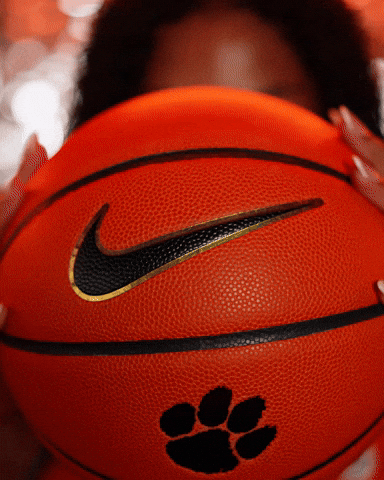 Holland Harris GIF by Clemson Tigers