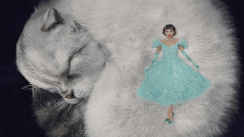 Music Video Cat GIF by Taylor Swift