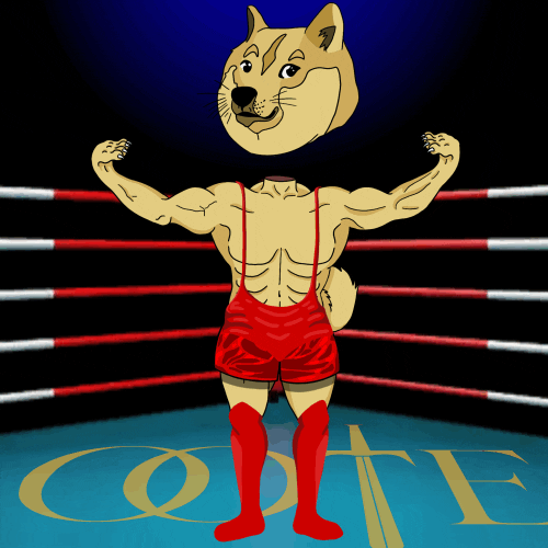 Shiba Inu Fighting GIF by The Order of the Egonauts - Find & Share on GIPHY
