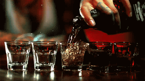  drinking bar alcohol food & drink shots GIF