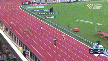 2024 GIF