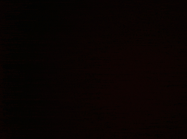 Fashion Shopping GIF by Drop Dead Couture