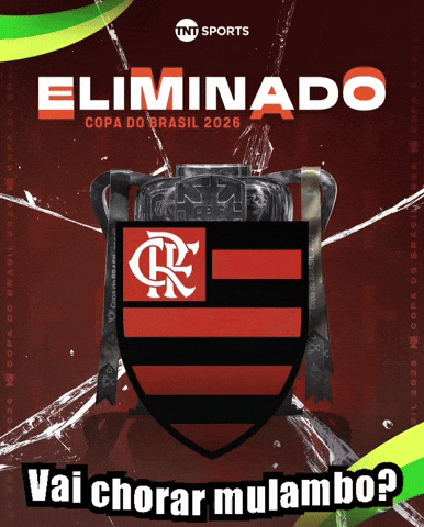 Copa Do Brasil Vice GIF