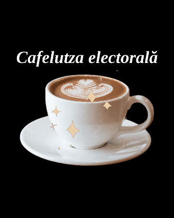 Moldova.org GIF