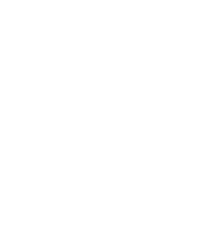 Detailing Sticker by Sappo