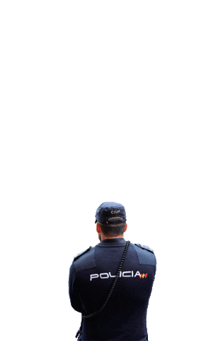 Academica Cronos Sticker