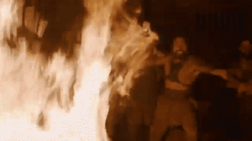 sophietaibl  GIF