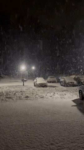 New York Snow GIF by Storyful