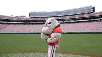 Georgia Bulldogs GIF by University of Georgia