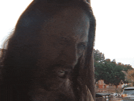 OYLS GIF