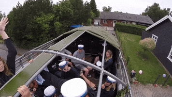 Bjørk GIF by At The Movies