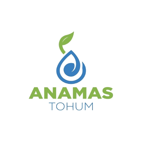 Seed Sticker by Anamas Tohum
