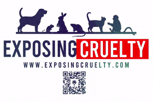 exposingcruelty cruelty exposing end animal testing exposingcruelty GIF