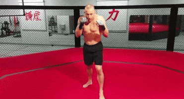 Ufc Punch GIF by Georges St-Pierre